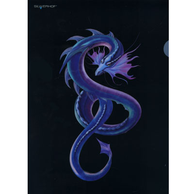 Папка-уголок "Dragons" Формат А4 31 см х 22 см инфо 1027b.