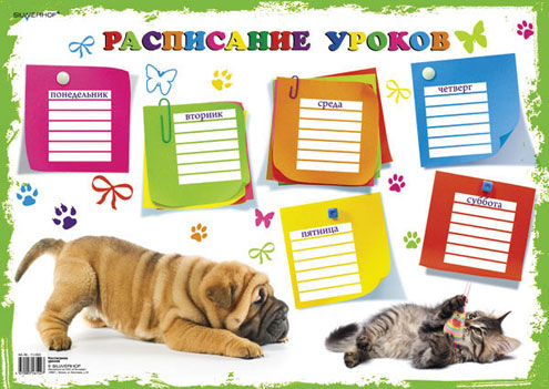 Плакат для расписания уроков, горизонтальный, 42 см х 29,5 см, в ассортименте Школьные товары , Бумага Silwerhof; Россия 2010 г ; Артикул: 711002 инфо 1149b.