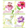 Набор тетрадей "Flower", 4 шт Состав 4 тетради в клетку инфо 1614b.