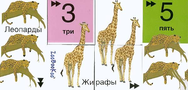 Умный кубик Мини-энциклопедия "Английский алфавит" его гранях Состав Кубики, инструкция инфо 5373e.