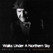 Dmitri Strizhnov & Obermaneken Walks Under A Northen Sky Исполнители `Obermaneken` `Оберманикен` Дмитрий Стрижов инфо 5625e.