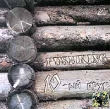 Pushking 10-ый круг II Формат: Audio CD Лицензионные товары Характеристики аудионосителей Альбом инфо 5628e.